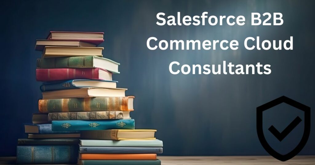 Salesforce B2B Commerce Cloud Consultants